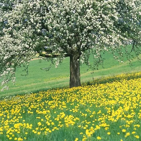 Stately 16-person Manor Farm In South Limburg Prázdninový dům Schimmert