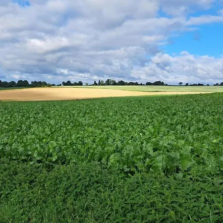Stately 16-person Manor Farm In South Limburg * Schimmert