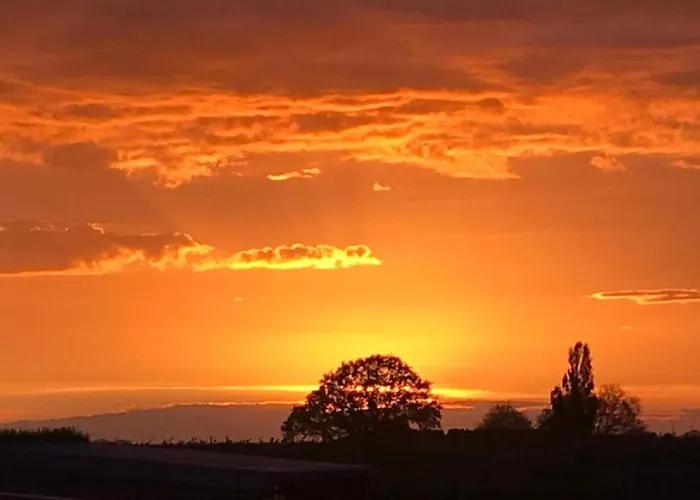 Stately 16-person Manor Farm In South Limburg *
