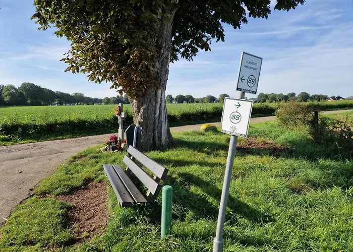 Stately 16-person Manor Farm In South Limburg