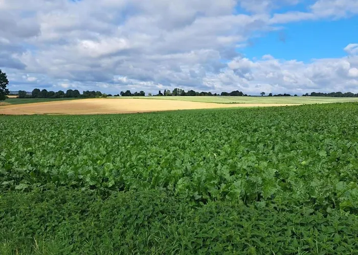 Stately 16-person Manor Farm In South Limburg * Schimmert