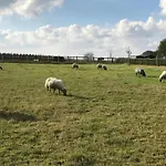 Stately 16-person Manor Farm In South Limburg 別荘