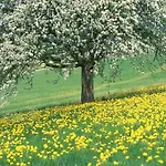 Stately 16-person Manor Farm In South Limburg 別荘 Schimmert