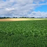 Stately 16-person Manor Farm In South Limburg * Schimmert