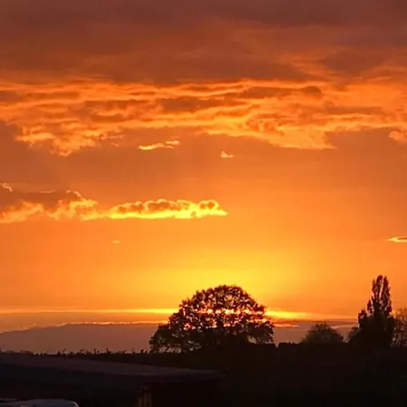 Stately 16-person Manor Farm In South Limburg *