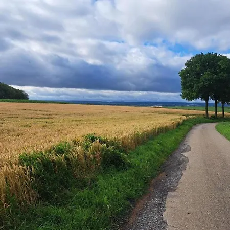 Stately 16-person Manor Farm In South Limburg Дом отдыха *