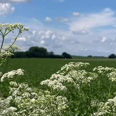 Stately 16-person Manor Farm In South Limburg Дом отдыха Schimmert