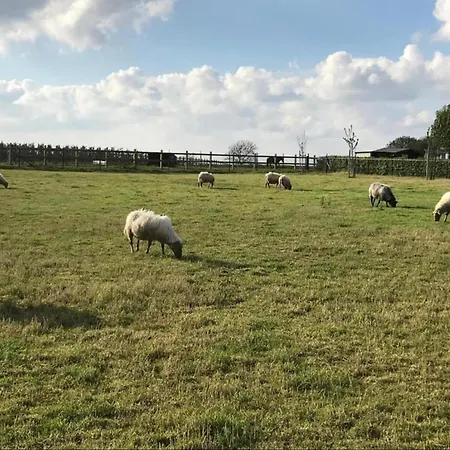 Stately 16-person Manor Farm In South Limburg Dom wakacyjny