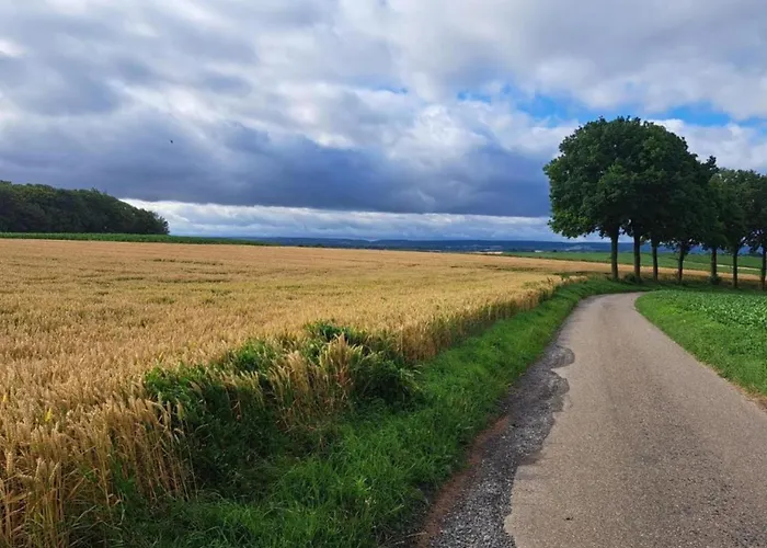 Stately 16-person Manor Farm In South Limburg Дом отдыха *
