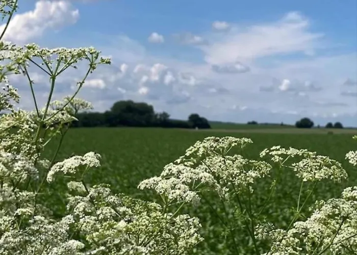 Stately 16-person Manor Farm In South Limburg Дом отдыха Schimmert