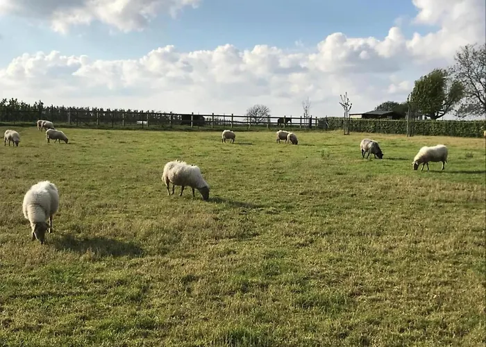 Stately 16-person Manor Farm In South Limburg Дом отдыха