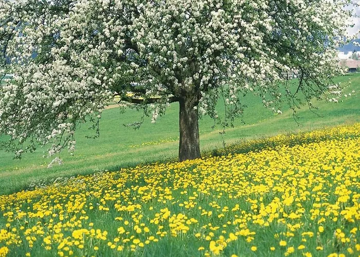 Stately 16-person Manor Farm In South Limburg Дом отдыха Schimmert